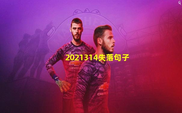 2021314失落句子