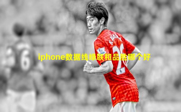 iphone数据线绿联和品胜哪个好