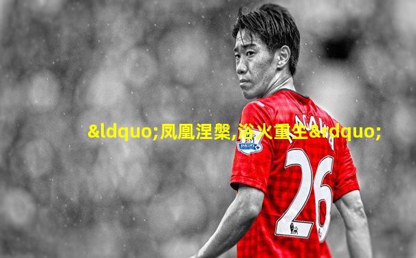“凤凰涅槃,浴火重生”