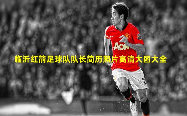 临沂红箭足球队队长简历照片高清大图大全