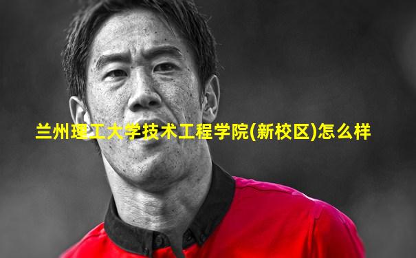 兰州理工大学技术工程学院(新校区)怎么样