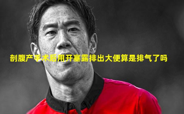 剖腹产手术后用开塞露排出大便算是排气了吗
