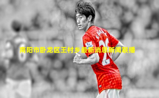 南阳市卧龙区王村乡最新消息新闻联播