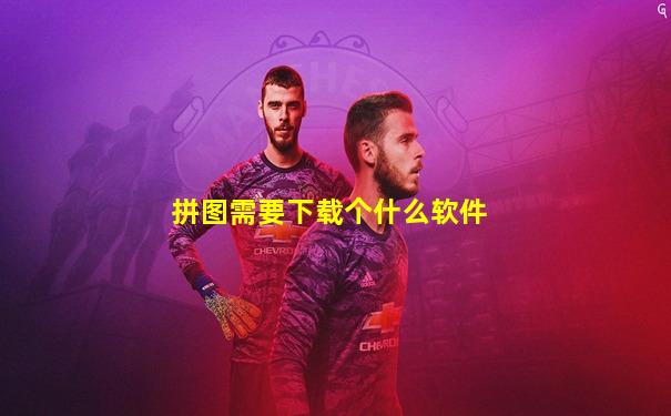 拼图需要下载个什么软件