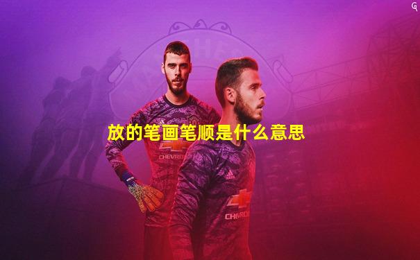 放的笔画笔顺是什么意思