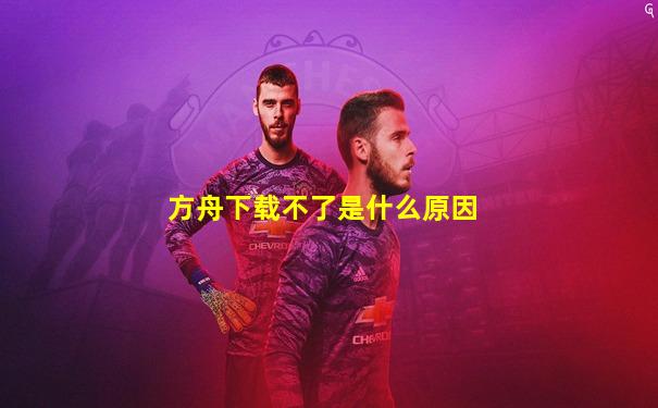 方舟下载不了是什么原因