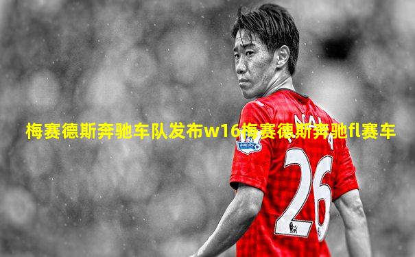 梅赛德斯奔驰车队发布w16梅赛德斯奔驰fl赛车