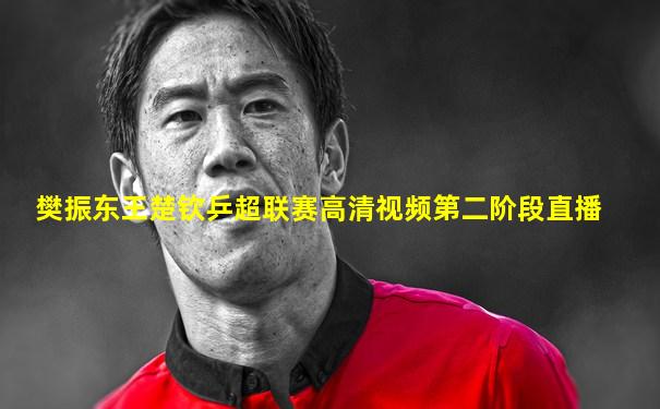 樊振东王楚钦乒超联赛高清视频第二阶段直播