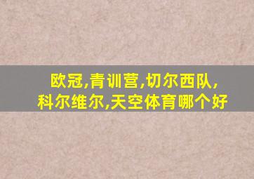 欧冠,青训营,切尔西队,科尔维尔,天空体育哪个好