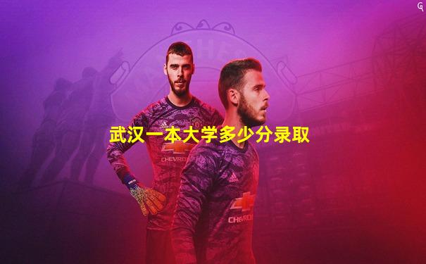 武汉一本大学多少分录取