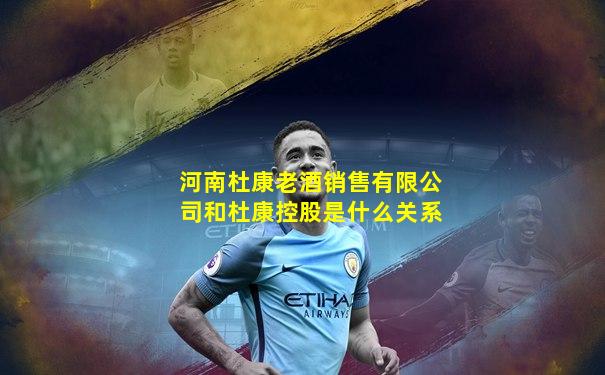 河南杜康老酒销售有限公司和杜康控股是什么关系
