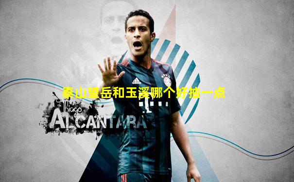 泰山望岳和玉溪哪个好抽一点