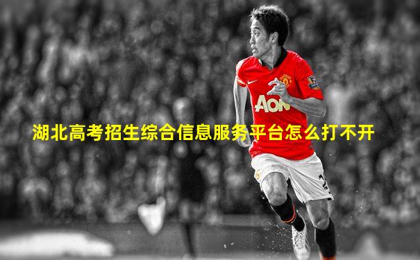 湖北高考招生综合信息服务平台怎么打不开