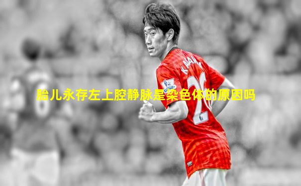 胎儿永存左上腔静脉是染色体的原因吗