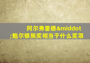 阿尔弗雷德·鲍尔银熊奖相当于什么奖项