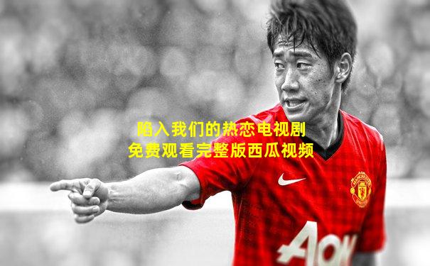 陷入我们的热恋电视剧免费观看完整版西瓜视频