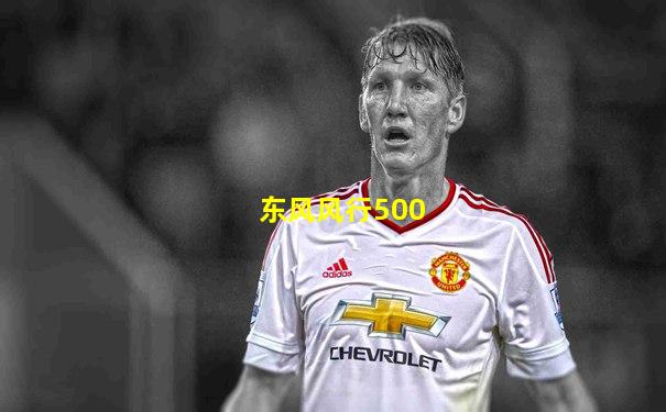 东风风行500