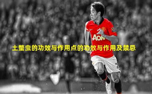 土蟞虫的功效与作用点的功效与作用及禁忌