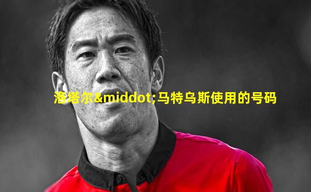 洛塔尔·马特乌斯使用的号码