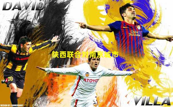 陕西联合对南京城市